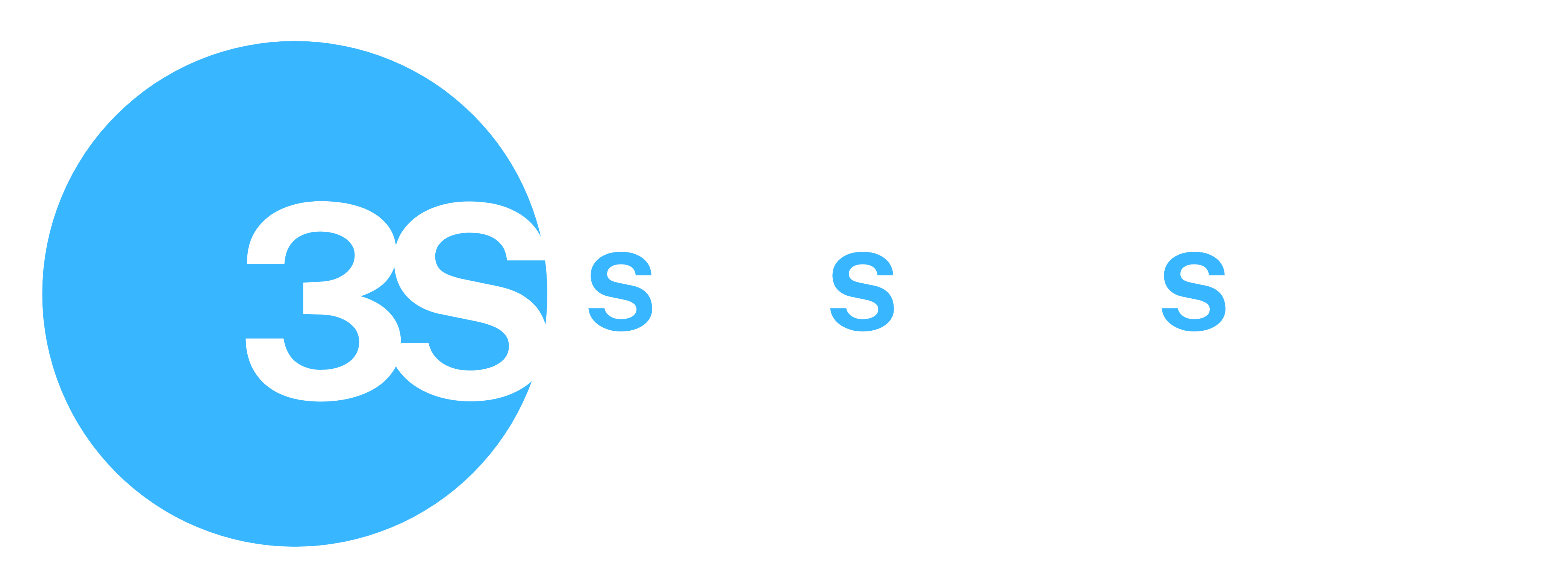 Company name